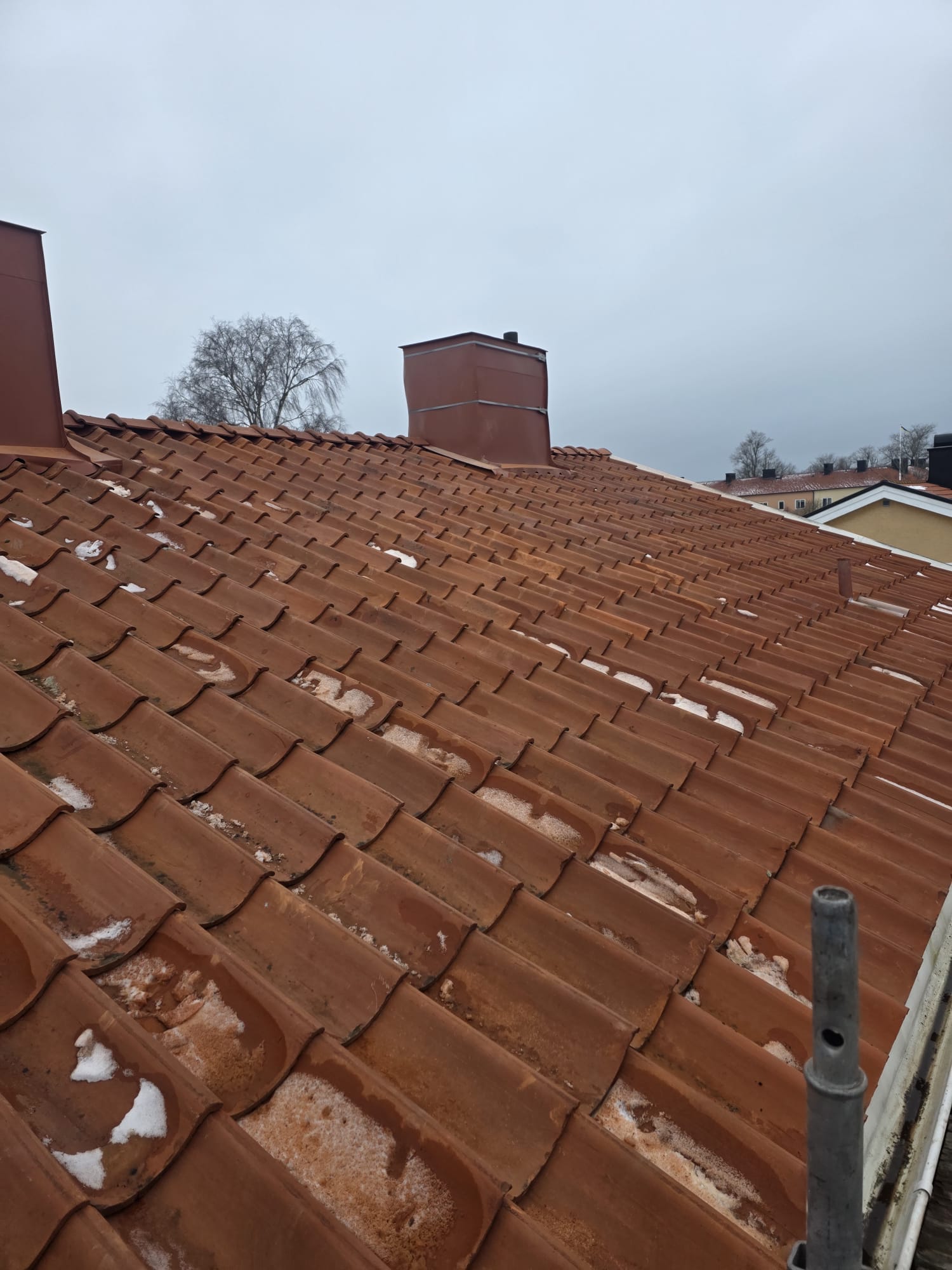 Återmonterade tvåkupiga tegelpannor på det renoverade taket i Visby